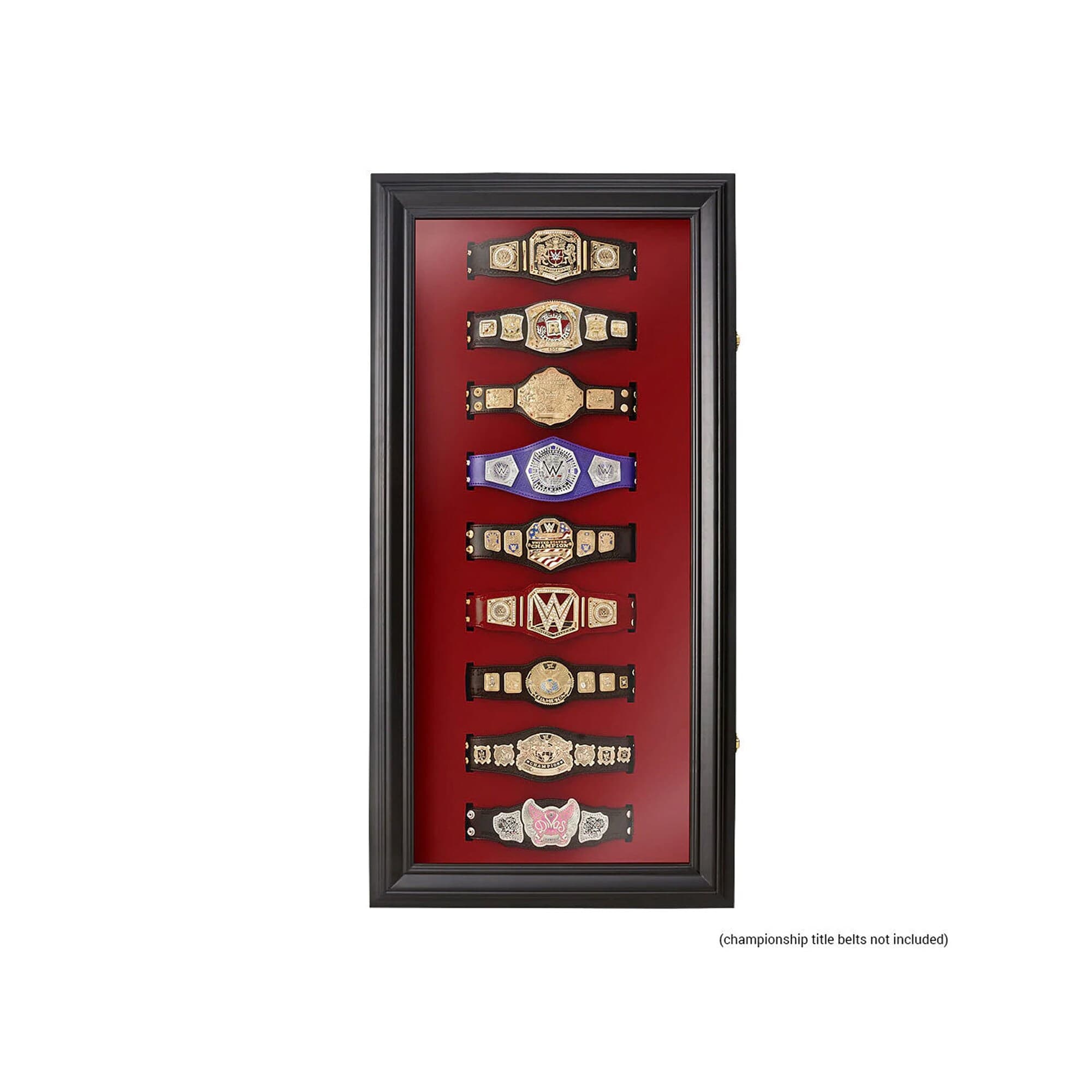 WWE Mini Replica Title Collector Case